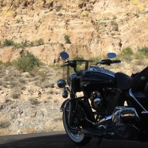 Meet your Posher, William